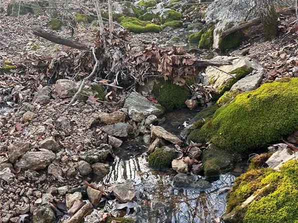 TRACT 1 Dusty Rd, Cadet, MO 63630