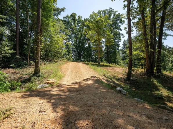 Church St, Valley Head, AL 35989