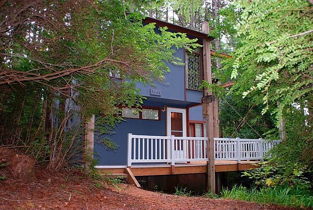 Your very own grown up treehouse!