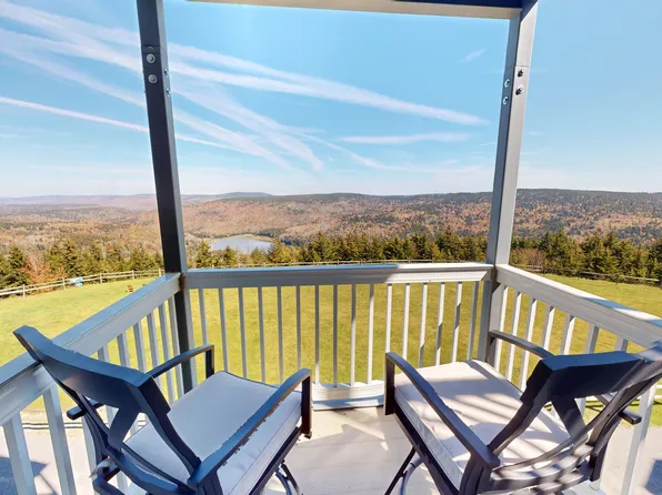 266 Mountain Ldg, Snowshoe, WV 26209