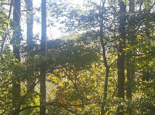 20 Hodgins Rd, Franklin, NC 28734