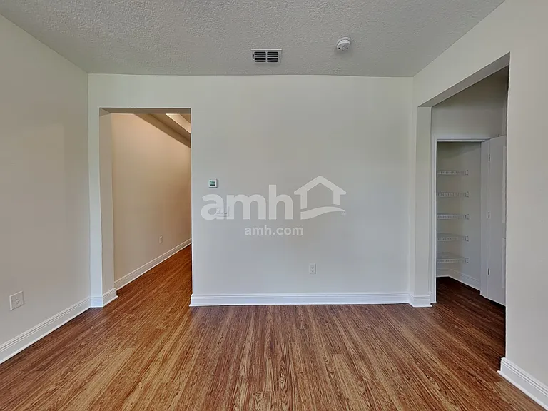 1367 Celery Palm Cv — Photo 10