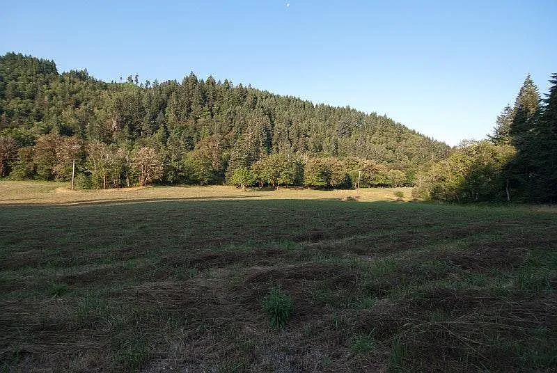 Paradise Creek Rd, Elkton — Photo 2