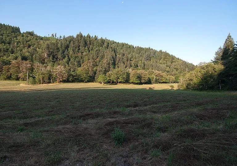 Paradise Creek Rd — Photo 2