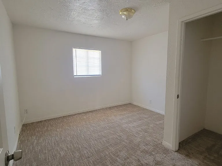 2280 Green St — Photo 11