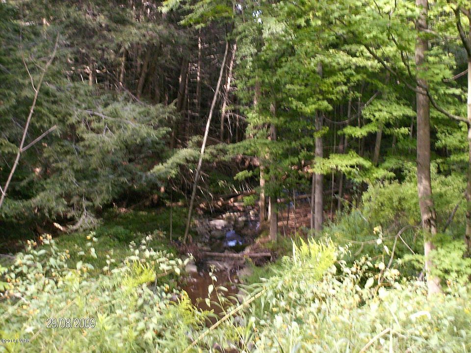 2nd image of LOT 1 Gas Hollow Rd