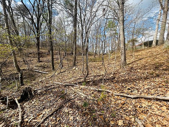 2nd image of Tbd Julia Simpkins Rd