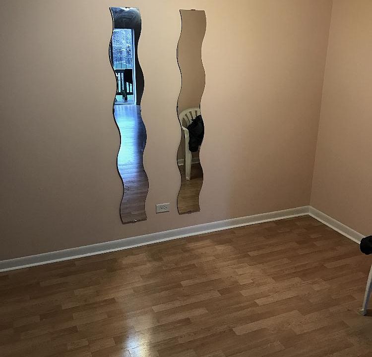2nd image of 8232 Niles Center Rd APT 210