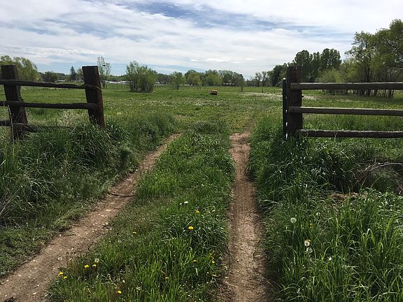 Back 2 acres behind home