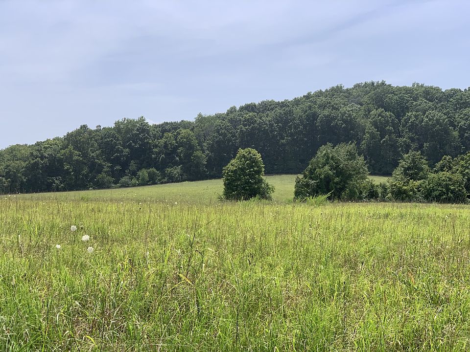 2nd image of 1218 Iron Bridge Rd Lot 2
