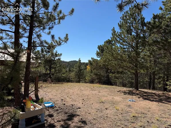 36 Miller Creek Rd, Divide, CO 80814
