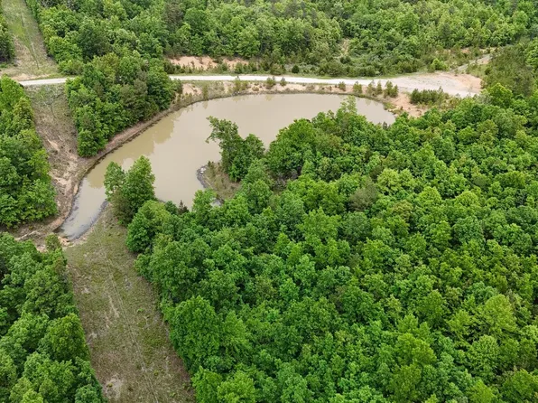 Tract 19 Pine Ridge East, Cabool, MO 65689