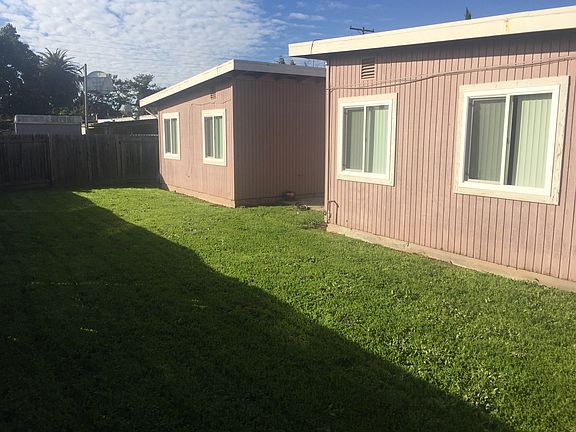 Back yard view
