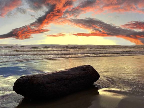 Beautiful Northwest Coast