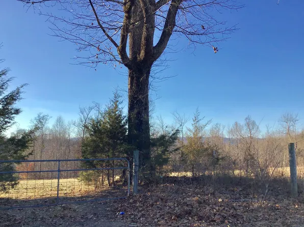 Evans Ridge Rd, Speedwell, TN 37870