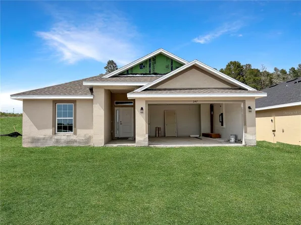 247 Verny Grove Ln, Leesburg, FL 34748