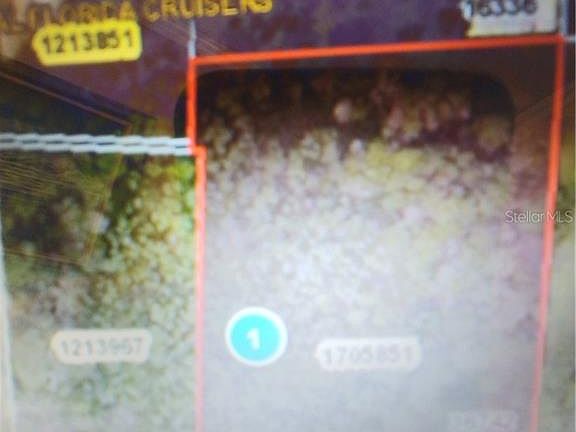 2nd image of 36742 State Road 19