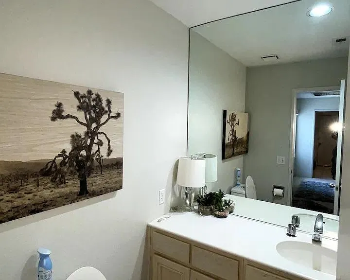 Guest bathroom