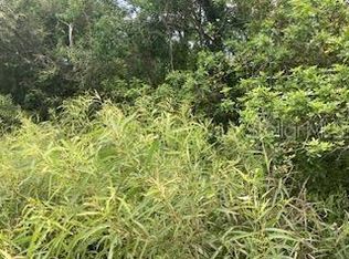 S Goodman Rd, Kissimmee, FL 34747