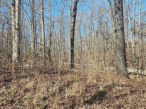 3rd image of 0 E Oak Dr