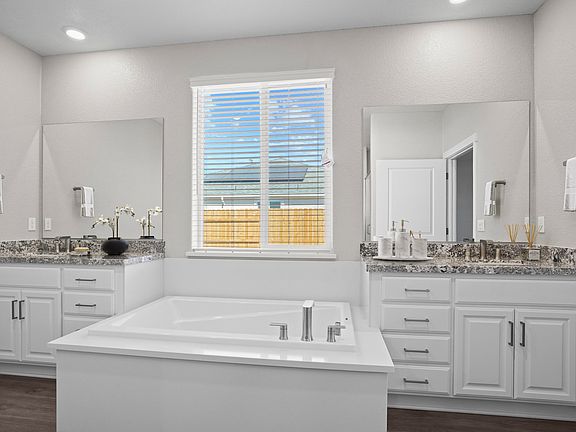 The master bathroom has a dual sink vanity and soaking tub.