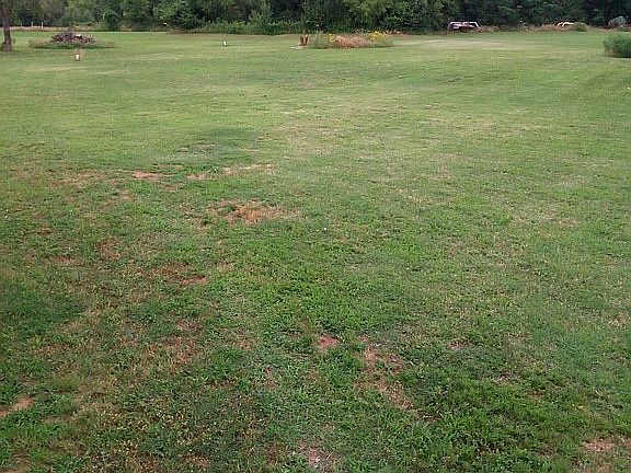 Little to no weeds.