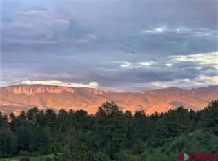 1254 Marmot Dr, Ridgway, CO 81432