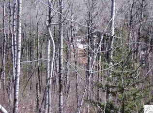 Nemadji River Rd, Holyoke, MN 55749