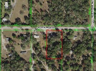 16406 Platinum Dr, Spring Hill, FL 34610