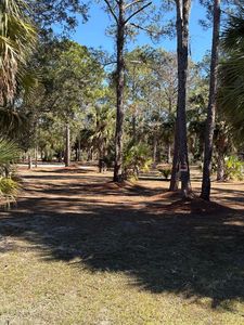 135 SE 340th St, Old Town, FL, 32680