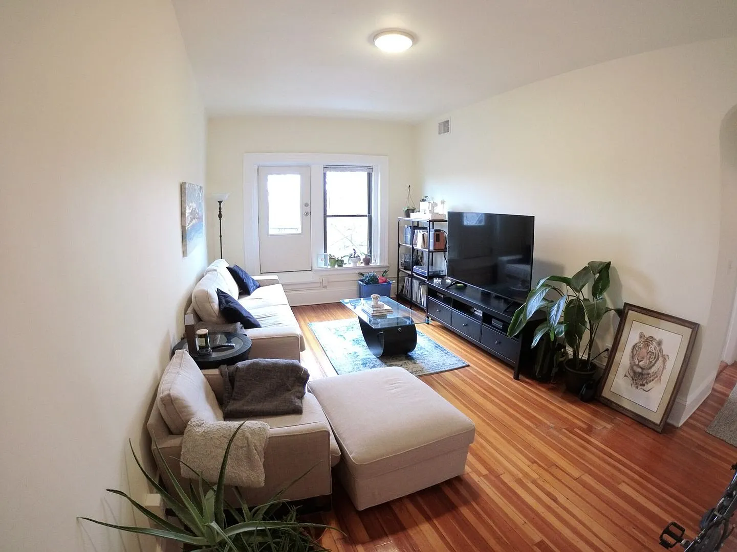 Awesome 2 bed in Brookline.... Don't miss out! — Photo 4