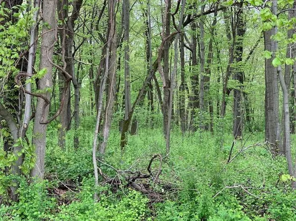 5.249 AC Ziebell Road, Jefferson, WI 53549