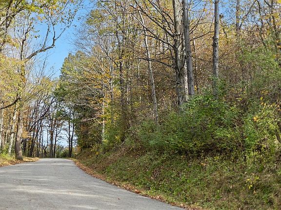 5th image of 0 White Church Rd