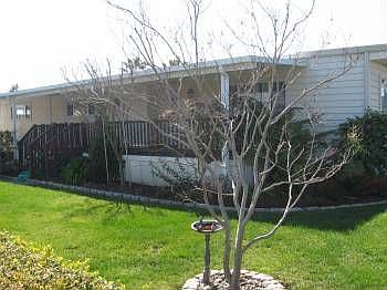 1st image of 31 Hacienda Dr