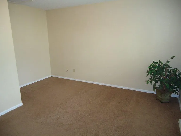 Master Bedroom with Walk-in Closet