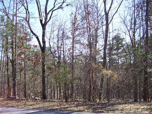3rd image of 138 Eagle Heart Ct