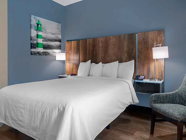 Studio Suite - 1 Queen Bed