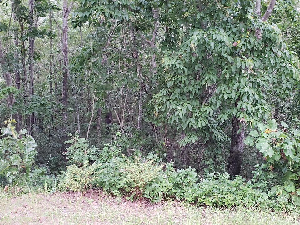 2nd image of 26 Timuquana Trl