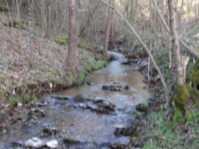 0 Sugar Creek Rd, Gainesboro, TN, 38562