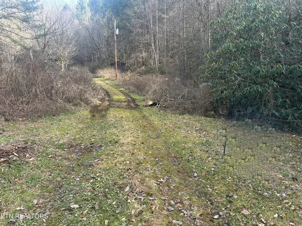 4438 Bruce Ogle Way, Pigeon Forge, TN 37863