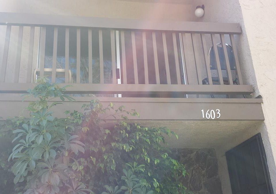 1st image of 1603 Squirrel Ln