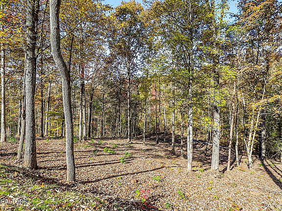 48th image of this home