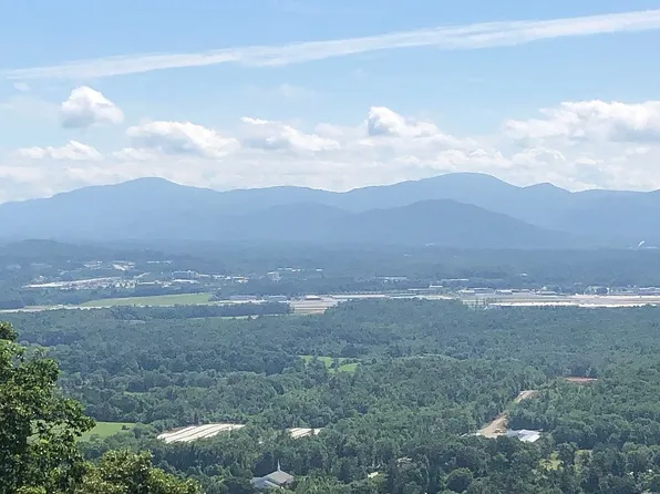 59 Chestnut Ridge Rd, Mills River, NC 28759
