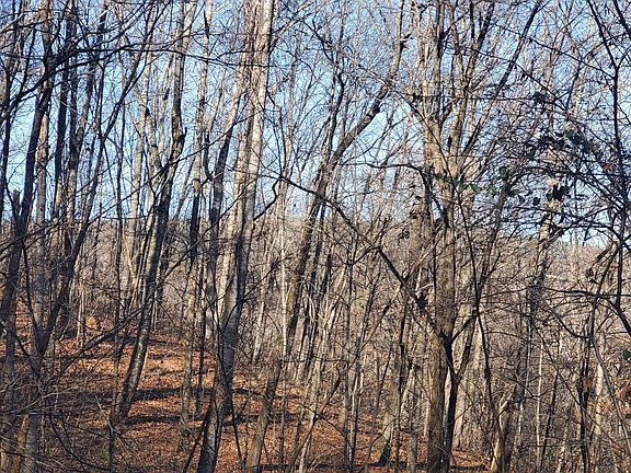 3rd image of 0 Daus Mountain Rd