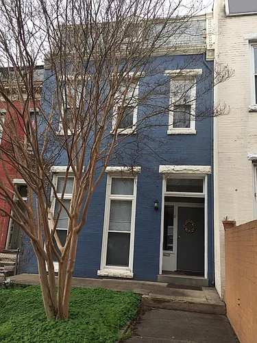 8 S Harrison St #1 Photo 1