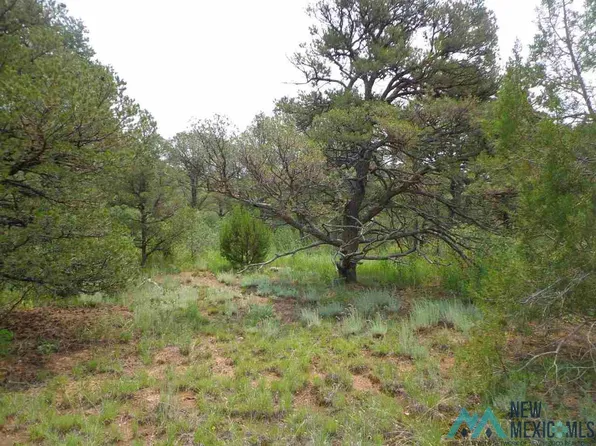 8 Ojitos Frios Rd, Las Vegas, NM 87701