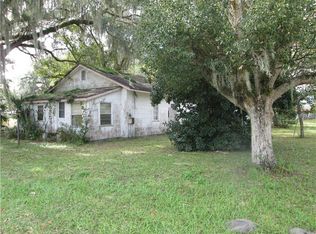 260 SE 3rd St, Webster, FL 33597