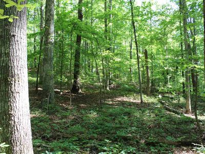 0 Punkintown Rd, Douglasville, GA, 30135