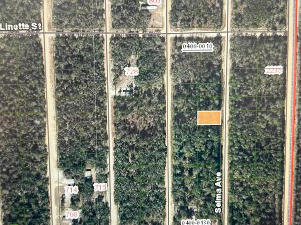 0B Selma Ave, Interlachen, FL 32148