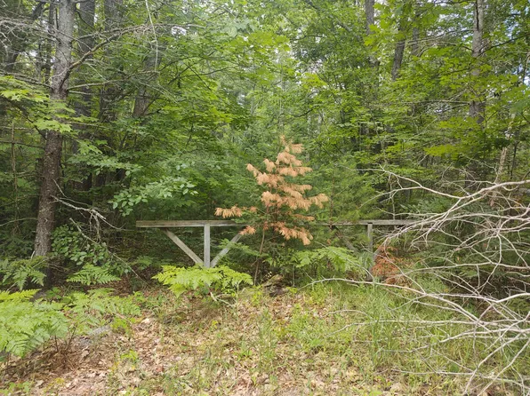 17910 Ottawa Ct, Atlanta, MI 49709